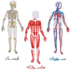 جه‌سته‌ت بناسه‌
